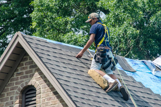 Best Roof Gutter Cleaning  in West Bishop, CA